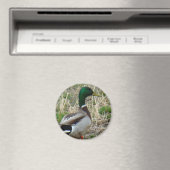 B12 Wilde Eend Magneet (Insitu (Vaatwasser))