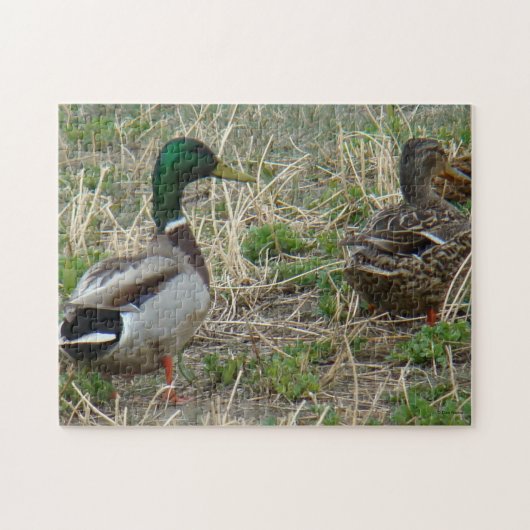 B12 Wilde Eenden Legpuzzel (Horizontaal)