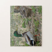 B12 Wilde Eenden Legpuzzel (Verticaal)