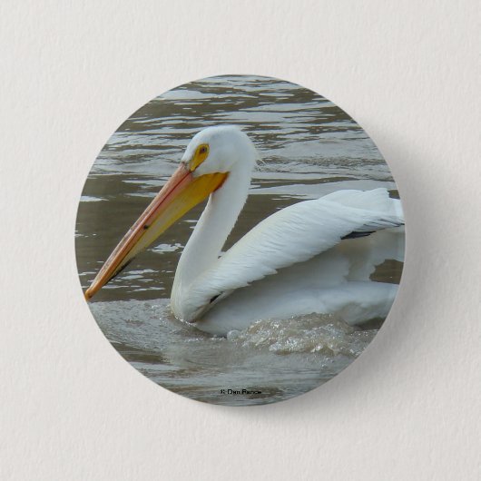 B14 Witte Pelikaan Ronde Button 5,7 Cm (Voorkant)