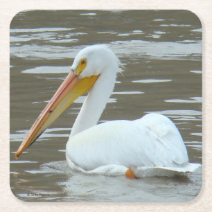 B15 White Pelican Vierkante Kartonnen Onderzetter