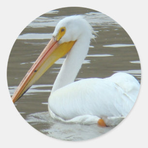 B15 Witte Pelikaan Ronde Sticker