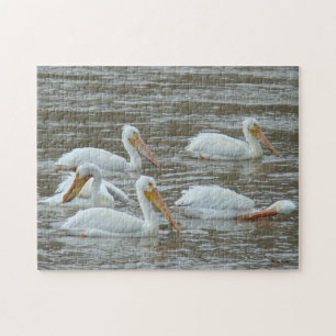 B16 Witte Pelikanen Legpuzzel