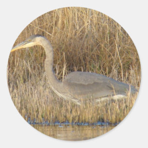 B19 Blauwe Reiger Jong Ronde Sticker