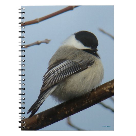 B21 Zwarte cichorei Notitieboek (Voorkant)