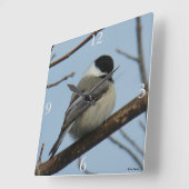 B21 Zwarte cichorei Vierkante Klok (Hoek)