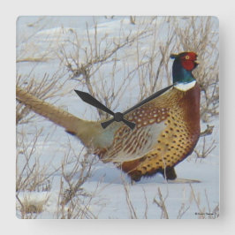 B22 Ring-necked fazant in sneeuw Vierkante Klok