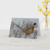 B23 ring-Necked Fazant Kaart (Gele Bloem)