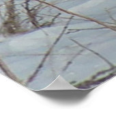 B23 Ring-Necked fazant Poster (Hoek)