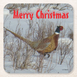 B23 Ring Necked Pheasant in Snow Coaster Vierkante Kartonnen Onderzetter