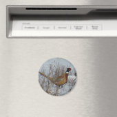 B23 Ringhalsfazant Magneet (Insitu (Vaatwasser))