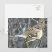 B24 Gemeenschappelijke reserve Briefkaart (Voorkant / Achterkant)