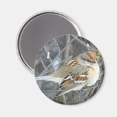 B24 Gemeenschappelijke reserve Magneet (Voorkant / Achterkant)