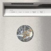 B24 Gemeenschappelijke reserve Magneet (Insitu (Vaatwasser))