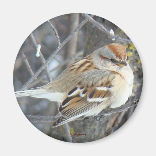 B24 Gemeenschappelijke reserve Magneet (Voorkant)