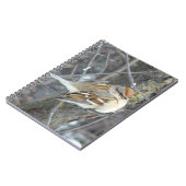 B24 Gemeenschappelijke reserve Notitieboek (Linkerzijde)