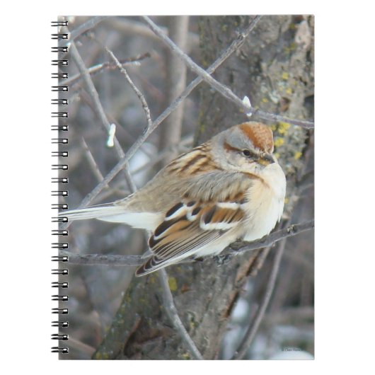 B24 Gemeenschappelijke reserve Notitieboek (Voorkant)