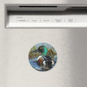 B25 Slobeend Magneet (Insitu (Vaatwasser))