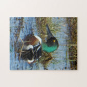 B25 Slobeend mannetje Legpuzzel (Horizontaal)