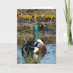B26 de Noordelijke Eend van de Slobeend Kaart