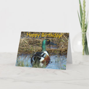 B26 Noord-Shoveler Duck Kaart