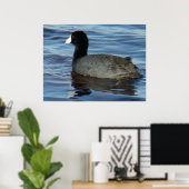 B27 Meerkoet Poster (Thuiskantoor)