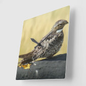 B29 Common Nighthawk Vierkante Klok (Hoek)