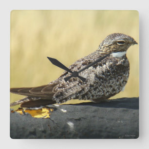 B29 Nachtzwaluw Vierkante Klok
