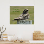 B2 Commom Nighthawk Poster (Keuken)