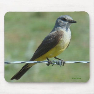 B31 Westelijke Koningsvogel Muismat