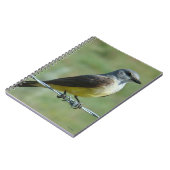 B31 Western Kingbird Notitieboek (Linkerzijde)