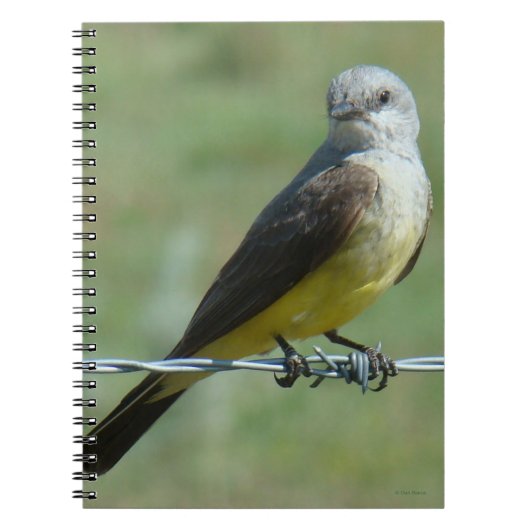 B32 Western Kingbird Notitieboek (Voorkant)