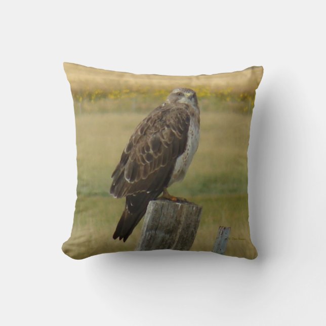 B33 Swainson's Buizerd Kussen (Voorkant)