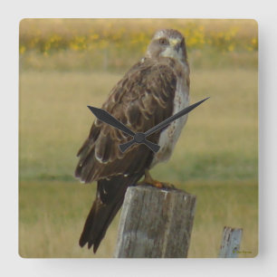 B33 Swainson's Hawk Vierkante Klok