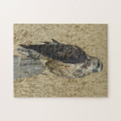B35 Ferruginous Hawk in Wheat Field Legpuzzel (Horizontaal)