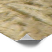 B35 Ferruginous Hawk in Wheat Field Poster (Hoek)