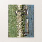 B37 Puzzle des oies canadiennes (Vertical)