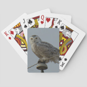 B38 Sneeuwuil Pokerkaarten