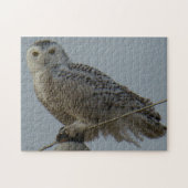 B38 Snowy Owl Legpuzzel (Horizontaal)