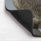 B38 Snowy Owl Muismat (Hoek)