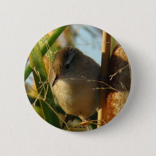 B3 Marsh Wren Ronde Button 5,7 Cm