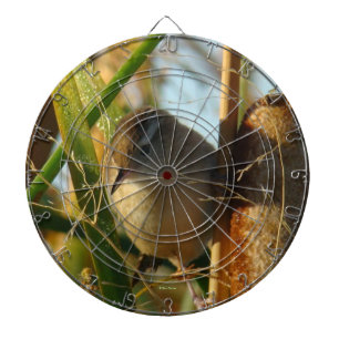B3 Marsh Wren tussen Lisdodde Dartbord
