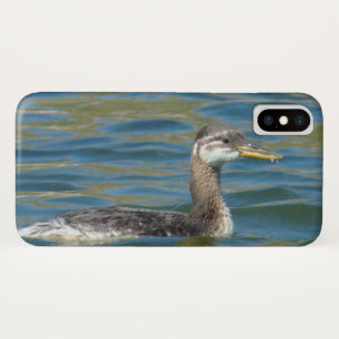 B40 Juveniele Roodkeelduiker iPhone X Hoesje