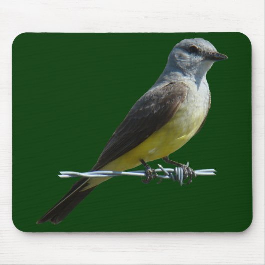 B45 Western Kingbird Muismat (Voorkant)