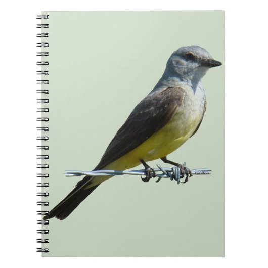 B45 Western Kingbird Notitieboek (Voorkant)