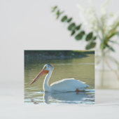 B4 Witte Pelican Briefkaart (Staand voorkant)