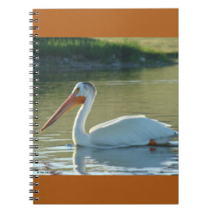 B4 Witte Pelican Notitieboek