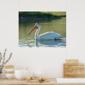 B4 Witte Pelikaan Poster (Keuken)