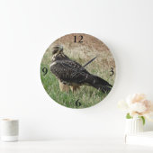 B52 Swainson's Hawk Grote Klok (Huis)