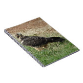 B52 Swainson's Hawk Notitieboek (Rechterzijde)